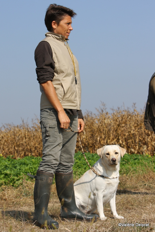 Field Erstein 09 (39).JPG